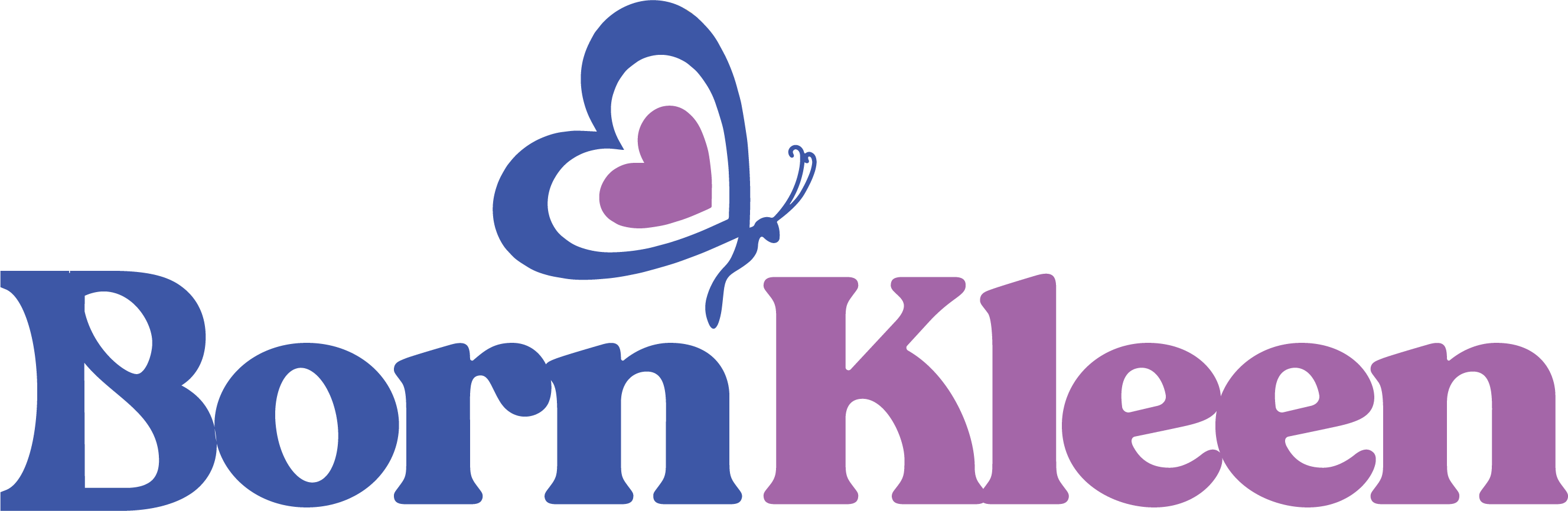 Branding New York City - Annual Toy Drive - Born Kleen